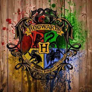 Meet your Posher, Gabrielle